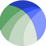 Global Executive Trade