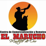 Carmen Cueto