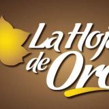 EVELYN OCHOA