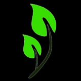 Francisco Javier Trigueros Romero