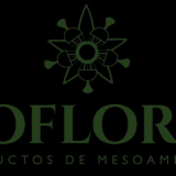 monica garcia teruel