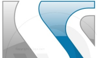 Gvo Consulting Services
