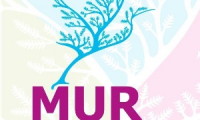 MUR Artesanías.