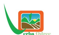 VERBA ODREC