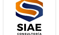 Siae consultoría