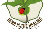 Fundacion Herb Is The Healing