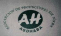Company