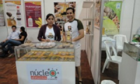 GIRASOL MR