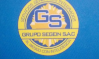 Grupo Segein