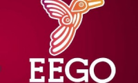EEGO
