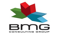 BMG CONSULTING GROUP
