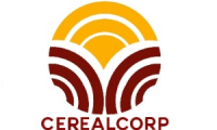 Company
