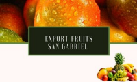 San Gabriel Exportaciones