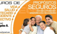 Propósitos Seguros, S.A.