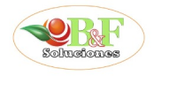 B&F Soluciones
