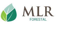 MLR Forestal de Nicaragua