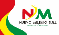 NUEVO MILENIO S.R.L.