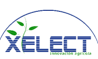 Xelect Innovación Agrícola Riego E Invernaderos