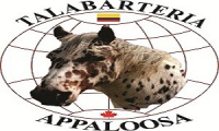 appaloosa linea equina distibuidor