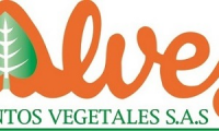 ALVES ALIMENTOS VEGETALES