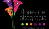 Flores de Altagracia