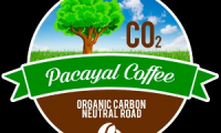 PACAYAL COFFEE SA DE CV
