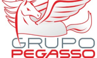 GRUPO PEGASSO S.A.S