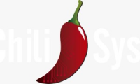 CHILI SYSTEM SAS