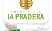 CHAMPIÑONES LA PRADERA