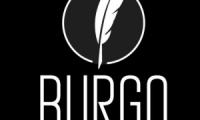 burgo consultores