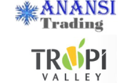 ANANSI TRADING FIRM