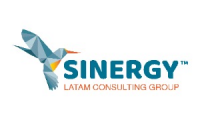 SINERGY LATAM CONSULTING GROUP SAS