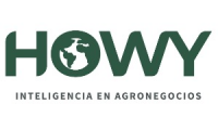 HOWY NEGOCIOS INTELIGENTES S.C.