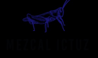 Mezcal Ictuz