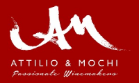 Attilio y Mochi