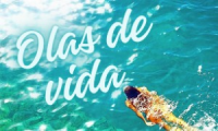 PROFESORES ESPECIALISTAS: @Tus Clases On-Line @Olas de Vida @Aula Creativa