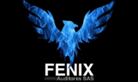 Fénix Auditores SAS