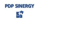 PDP SINERGY