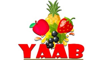 Yaab