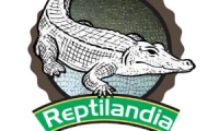 Reptilandia S.A.S.