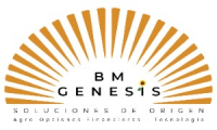 Comercializadora de Bienes y Servicios BM Génesis S.A. de C.V.