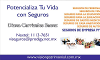 Vision Patrimonial, seguros para la vida