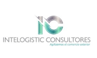 Intelogistic Consultores