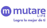 Company