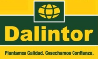 Dalintor S.A.