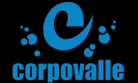 Company