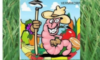 VERMIKORP