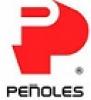 Peñoles