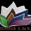 Imagen de Suminitros Naranjito