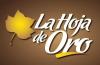 Imagen de EVELYN OCHOA